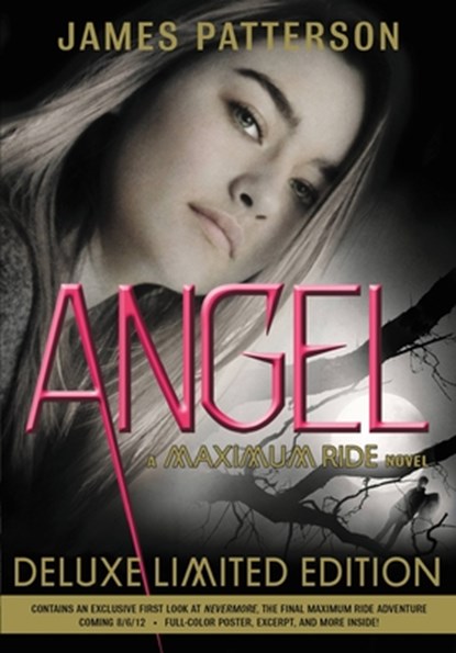 Angel [With Poster], James Patterson - Paperback - 9780316038324