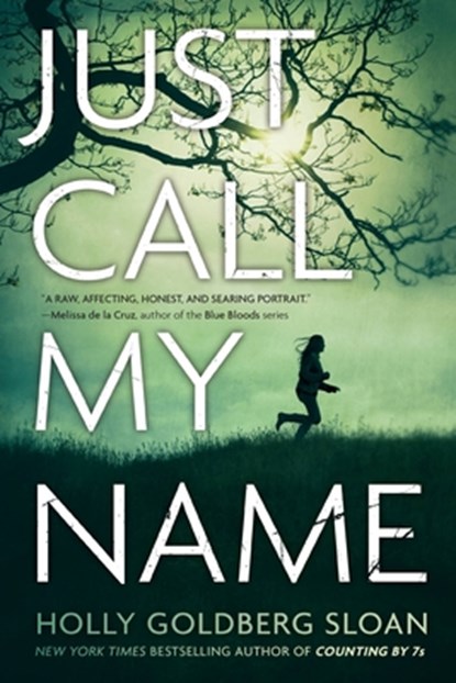 Just Call My Name, Holly Goldberg Sloan - Paperback - 9780316122825