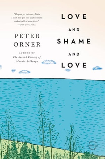 Love and Shame and Love, Peter Orner - Ebook - 9780316191548