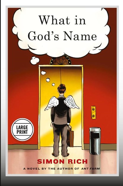 What in God's Name, Simon Rich - Paperback - 9780316250559