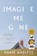 Imagine Me Gone, Adam Haslett - Paperback - 9780316261333
