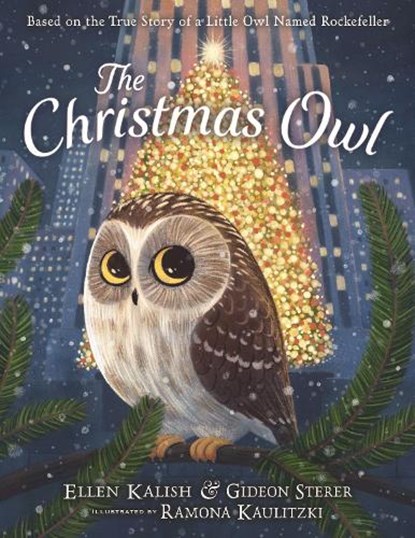 The Christmas Owl, Gideon Sterer ; Ellen Kalish - Gebonden - 9780316299121