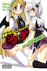 High School DXD: Asia & Koneko's Secret Contract!? - Hiroichi Hiroichi - 9780316334853