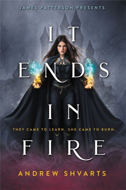 It Ends in Fire, Andrew Shvarts - Paperback - 9780316381444