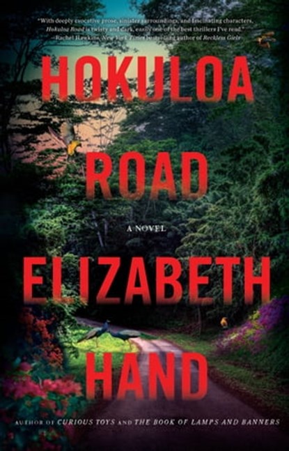 Hokuloa Road, Elizabeth Hand - Ebook - 9780316542012