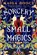 Sorcery and Small Magics, Maiga Doocy - Paperback - 9780316576758