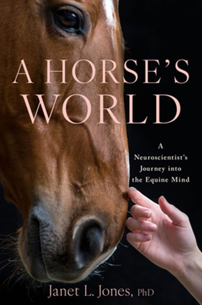 A Horse's World: A Neuroscientist's Journey Into the Equine Mind, Janet L. Jones - Gebonden - 9780316582582