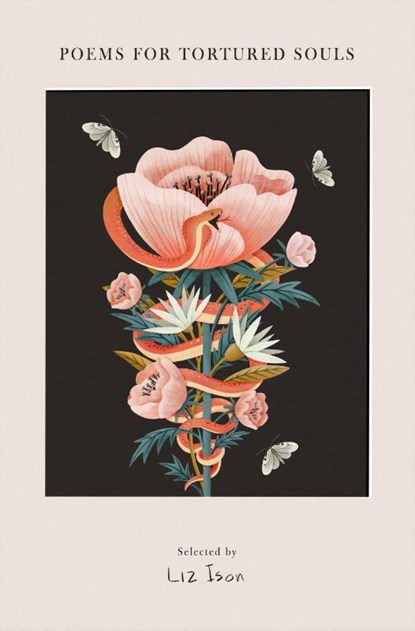 Poems for Tortured Souls, Liz Ison - Gebonden - 9780316584142