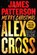 Merry Christmas, Alex Cross, James Patterson - Paperback - 9780316598606