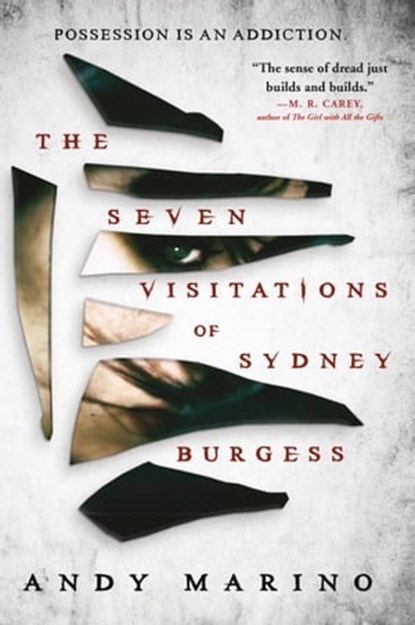 The Seven Visitations of Sydney Burgess, Andy Marino - Ebook - 9780316629461