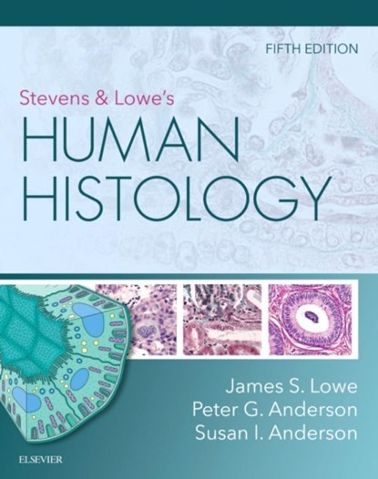 Stevens & Lowe's Human Histology, James S. (Emeritus Professor of Neuropathology Lowe ; Peter G. (Professor of Molecular and Cellular Pathology Anderson ; Susan I. Anderson - Paperback - 9780323612791