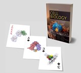 Cell Biology Playing Cards -  - 9780323655583