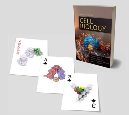 Cell Biology Playing Cards, Thomas D. (Sterling Professor Pollard ; William C. (Professor and Wellcome Trust Principal Research Fellow Earnshaw ; Graham (Director Johnson ; Jennifer (Group Leader Lippincott-Schwartz - Losbladig - 9780323655583
