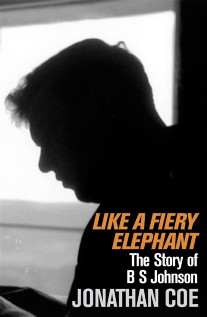 Like a Fiery Elephant, Jonathan Coe - Paperback - 9780330350495