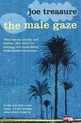 Male Gaze - Joe Treasure - 9780330538732