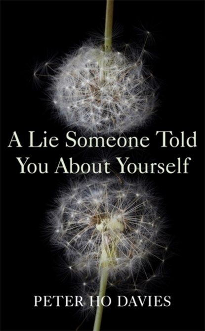 A Lie Someone Told You About Yourself, Peter Ho Davies - Gebonden Gebonden - 9780340980279