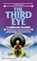 3RD EYE 2/E, T. Lobsang Rampa - Paperback - 9780345340382