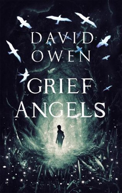 Grief Angels, David Owen - Paperback - 9780349003429