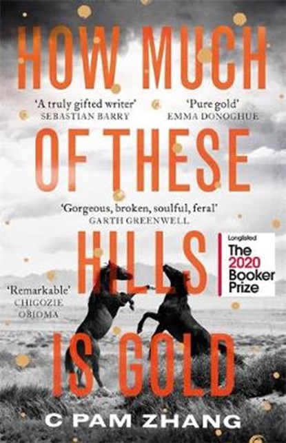 How Much of These Hills is Gold, C Pam Zhang - Gebonden - 9780349011462