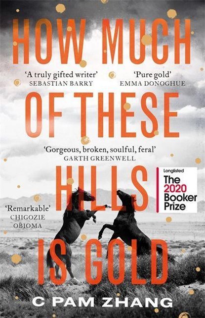 How Much of These Hills is Gold, C Pam Zhang - Paperback - 9780349011479