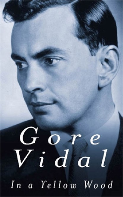In A Yellow Wood, Gore Vidal - Paperback - 9780349116990