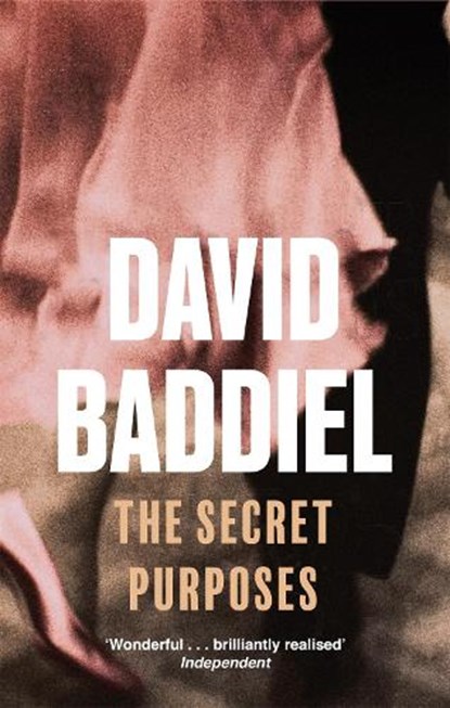 The Secret Purposes, David Baddiel - Paperback - 9780349117461