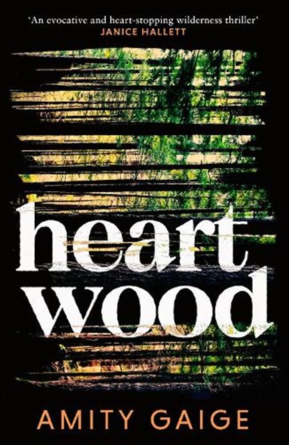Heartwood, Amity Gaige - Paperback - 9780349127569