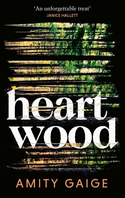 Heartwood, Amity Gaige - Paperback - 9780349127583