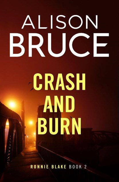 Crash and Burn, Alison Bruce - Gebonden - 9780349135434