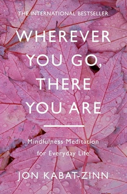 Wherever You Go, There You Are, Jon Kabat-Zinn - Ebook - 9780349414232