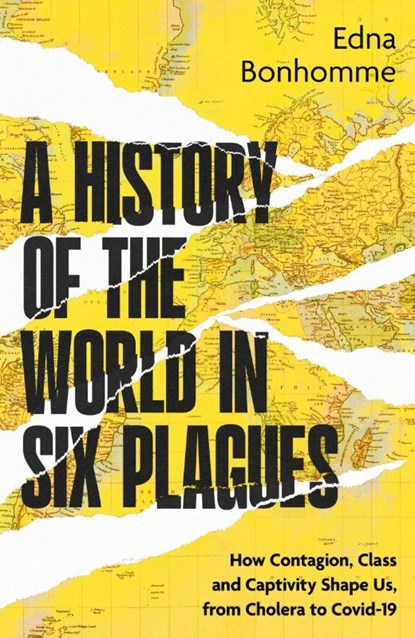 A History of the World in Six Plagues, Edna Bonhomme - Paperback - 9780349704371