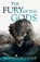 The Fury of the Gods, John Gwynne - Paperback - 9780356514291