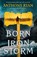 Born of an Iron Storm, Anthony Ryan - Paperback - 9780356522869