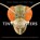 Tiny Monsters, Steve Jenkins ; Robin Page - Gebonden - 9780358307112