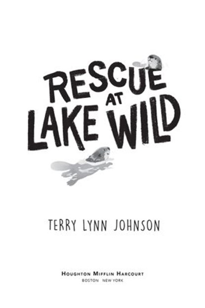 Rescue at Lake Wild, Terry Lynn Johnson - Ebook - 9780358334910