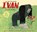 Ivan: A Gorilla's True Story, APPLEGATE,  Katherine - Gebonden - 9780358417460