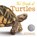 The Book of Turtles, Sy Montgomery - Gebonden - 9780358458074