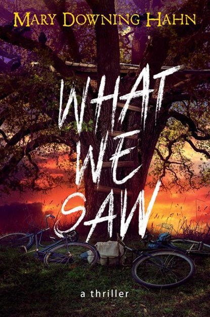 What We Saw, Mary Downing Hahn - Paperback - 9780358697312