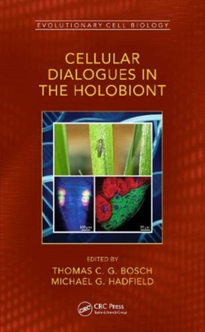 Cellular Dialogues in the Holobiont, Thomas C. G. (Zoological Institute Bosch ; Michael G. (Kewalo Marine Laboratory Hadfield - Gebonden - 9780367228811