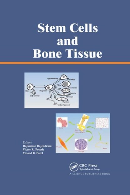 Stem Cells and Bone Tissue, RAJKUMAR RAJENDRAM ; VICTOR R. (KING'S COLLEGE,  London, UK) Preedy ; Vinood (University of Westminster, London, England, UK) Patel - Paperback - 9780367380397