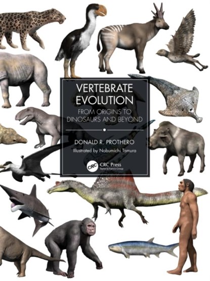Vertebrate Evolution, Donald R. Prothero - Paperback - 9780367473167