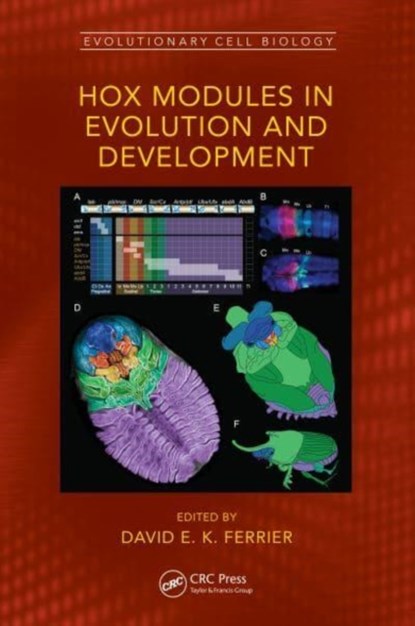 Hox Modules in Evolution and Development, David E. K. Ferrier - Gebonden - 9780367522582