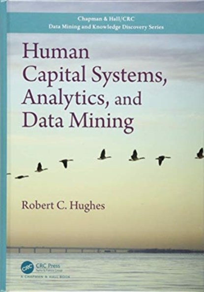 Human Capital Systems, Analytics, and Data Mining, ROBERT C. (GOLDEN GATE UNIVERSITY,  California, USA) Hughes - Paperback - 9780367571214