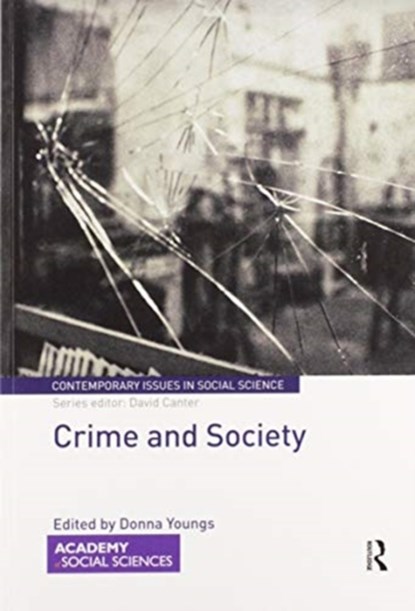 Crime and Society, Donna Youngs - Paperback - 9780367588373