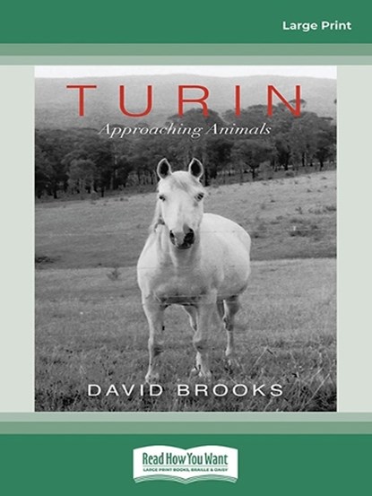 Turin, David Brooks - Paperback - 9780369384805