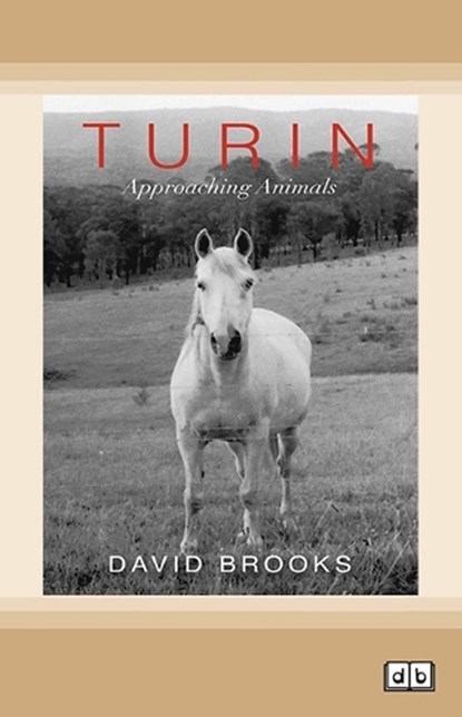 Turin, David Brooks - Paperback - 9780369386106