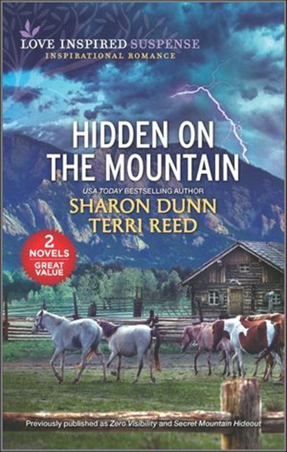 Hidden on the Mountain, Sharon Dunn ; Terri Reed - Ebook - 9780369704269