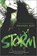 Storm, SUN,  Amanda - Paperback - 9780373211746