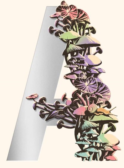 Ambergris, Jeff VanderMeer - Gebonden - 9780374103170