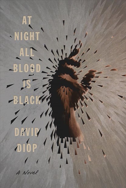 At Night All Blood Is Black, David Diop - Gebonden - 9780374266974